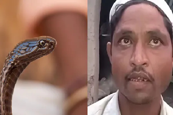 இரவில் பாம்பாக மாறும் மனைவி : கணவன் அளித்த விநோத புகாரால் பரபரப்பு | Husband Alleges Wife Turns Into Snake