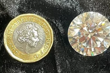 குப்பையில் வீசப்போன பழைய பொருட்களை கடைக்கு கொண்டு சென்ற பெண்: அவரை கோடீஸ்வரியாக்கிய பொருள்!