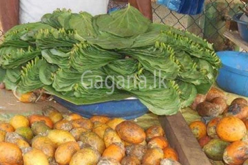 බුලත් - පුවක් මිල ඉහළට.