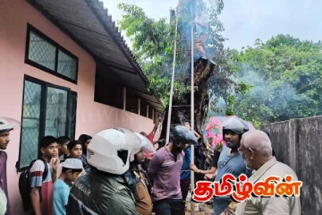 தம்பலகாமம் பிரதேசத்தில் உள்ள பாடசாலையில் காணப்பட்ட மரத்தில் தீ விபத்து