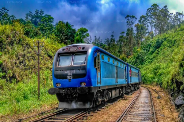 தடம் புரண்ட பொடி மெனிக்கே; ரயில் சேவைகள் பாதிப்பு | Derailment Of Podi Menike Train Services Affected