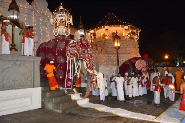 இறுதி ரந்தோலி பெரஹராவை கண்டு களித்தார் அதிபர் ரணில் | Ranil To See The Last Randoli Perahara
