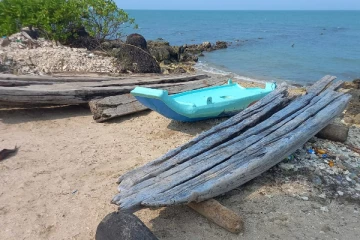 நாட்டில் பல்வேறு பகுதிகளில் சடலம் மீட்பு