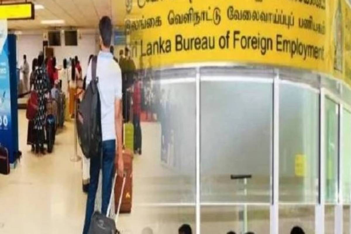 2 இலட்சம் இலங்கையர்களுக்கு வெளிநாட்டில் வேலைவாய்ப்பு - பொதுமக்களுக்கு வெளியான அறிவிப்பு | 250 000 Sri Lankans Find Employment Abroad 2 இலட்சம் இலங்கையர்களுக்கு வெளிநாட்டில் வேலைவாய்ப்பு - பொதுமக்களுக்கு வெளியான அறிவிப்பு | 250 000 Sri Lankans Find Employment Abroad