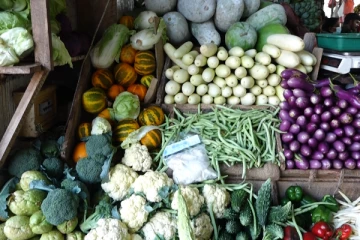 மக்கள் பூசணிக்காய், வெள்ளரிக்காய் மட்டும் தான் சாப்பிட முடியும்! எதிர்காலத்தில் அதுவும் கிடைக்காது என எச்சரிக்கை