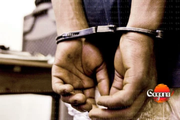 රුමේනියාවේ රැකියා දෙන්න රුපියල් කෝටි 74ක් වංචා කරලා - ඒජන්සිකරු රිමාන්ඩ්