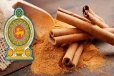 கறுவா ஏற்றுமதியால் இலங்கைக்கு கிடைத்துள்ள பல மில்லியன் ரூபாய் வருமானம்