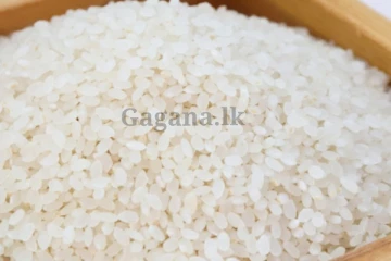 සහල් ගැන රජයෙන් විශේෂ තීරණයක් මෙන්න.