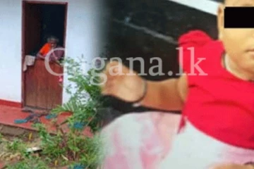 පුංචි සිගිත්තියට අත්වූ අති බිහිසුණු ඉරණම..