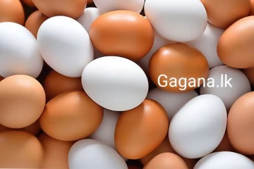 බිත්තර මිල එකවරම අහස උසට නගී..