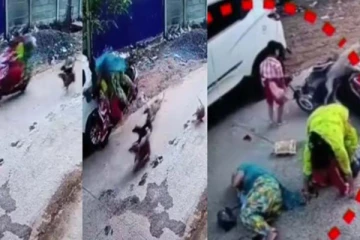 மின்னல் வேகத்தில் விரட்டிய தெருநாய்கள்! சிறுவனுடன் விபத்தில் சிக்கிய பெண்கள்