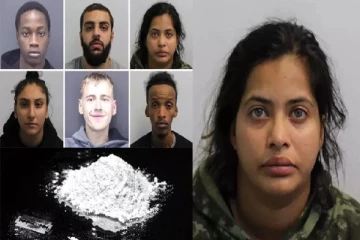 இங்கிலாந்தில் இந்திய வம்சாவளி பெண்ணுக்கு 7 ஆண்டு சிறை!