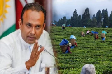 தேயிலை உற்பத்தி சிறந்த மட்டத்தில் காணப்படுகிறது: ரமேஷ் பத்திரண