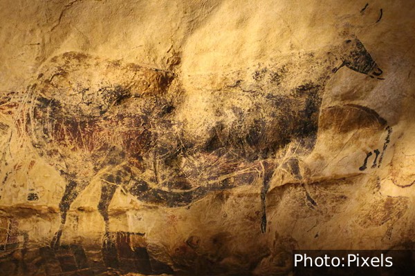 ஐரோப்பிய கோட்பாட்டிற்கு முற்றுப்புள்ளி! 67,800 ஆண்டு பழமையான குகை ஓவியம் கண்டுபிடிப்பு | 67800 Yrs Old Cave Paint Discovered In Indonesia