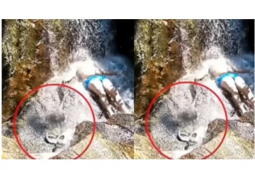 அருவியில் சுகமாக குளித்துக் கொண்டிருந்த நபர் - திடீரென விழுந்த பாம்பு கடிக்க சீறிபாய்ந்த அதிர்ச்சி வீடியோ வைரல்