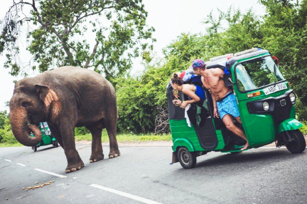 வெளிநாட்டவர்களுக்கு இலங்கையில் தடை செய்யப்பட்ட விடயம் | Three Wheelers Banned For Foreigners Sri Lanka