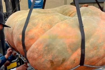 உலகின் மிகப்பெரிய பூசணிக்காய்