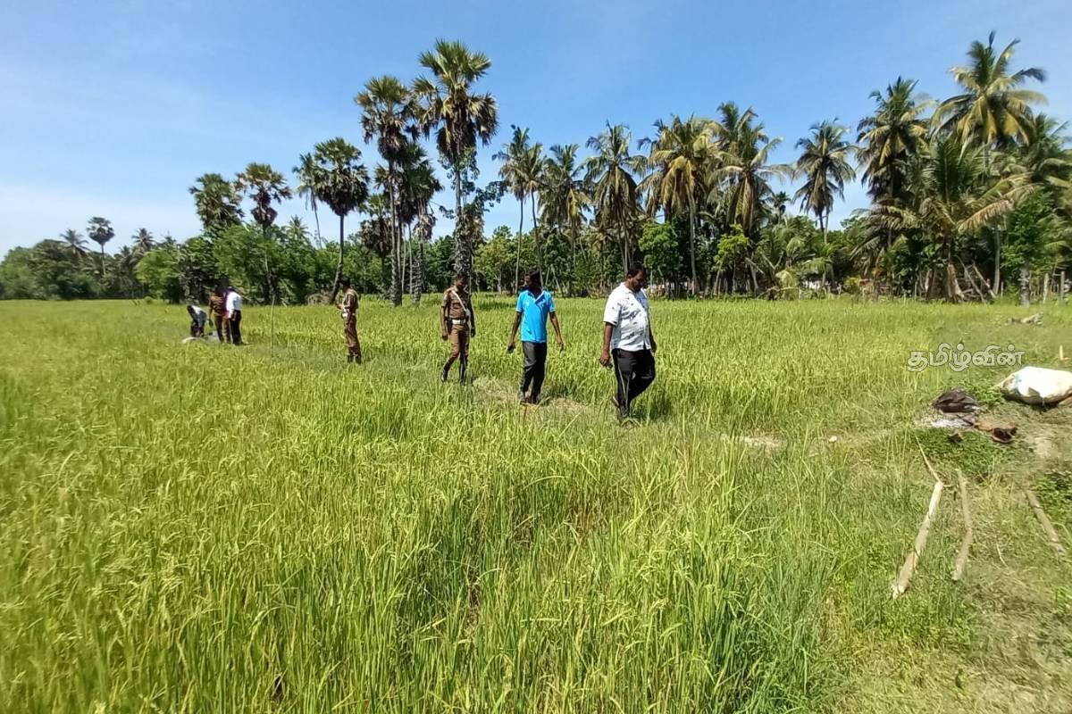 தமிழர் பகுதியில் வயல் நிலத்துக்குள் சடலமாக கிடந்த குடும்பஸ்தர் - உறவினர்கள் கொடுத்த வாக்குமூலம் | Body Of 58 Year Old Man Recovered In Batticaloa தமிழர் பகுதியில் வயல் நிலத்துக்குள் சடலமாக கிடந்த குடும்பஸ்தர் - உறவினர்கள் கொடுத்த வாக்குமூலம் | Body Of 58 Year Old Man Recovered In Batticaloa