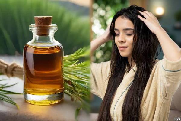 கூந்தல் காடு மாதிரி வளரணுமா? இந்த ஆயுர்வேத மூலிகை எண்ணெய் ஒன்னு போதும்! | Best Ayurvedic Oils For Quick Hair Growth