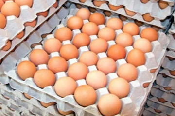 எதிர்காலத்தில் கோழி முட்டைகளின் விலை உயரும் அபாயம்