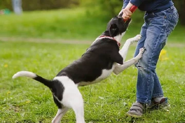பிரான்ஸில் இரு பெண்களை கடித்துக் குதறிய வளர்ப்பு நாய்!