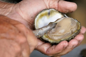 கனடாவில் உணவுப்பொருள் ஒன்றில் வைரஸ் பாதிப்பு: உணவுப் பாதுகாப்பு அமைப்பு வெளியிட்டுள்ள அறிவிப்பு