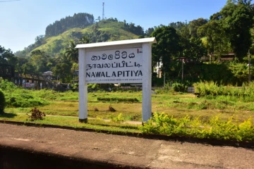 நாறும் நாவலப்பிட்டி ; கண்டுகொள்வார்களா அதிகாரிகள்!