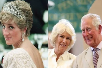 எனக்கு என் கணவர் சார்லஸ் வேண்டும்! திரும்ப கொடு... கமிலாவிடம் மிகுந்த வலியோடு கேட்ட இளவரசி டயானா