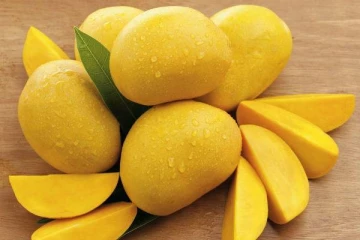 மாம்பழம் சாப்பிட்ட பின் இந்த உணவுகளை கட்டாயம் சாப்பிடாதீங்க... மீறினால் நடக்கும் விபரீதம்!