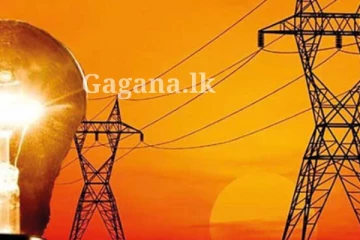 විදුලිබල පනත් කෙටුම්පතට එරෙහිව තවත් පෙත්සමක්..