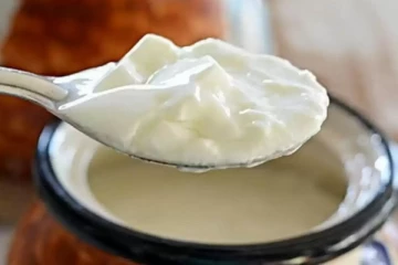 இதய நோயாளிகள் தயிர் சாப்பிடலாமா? தினமும் சாப்பிட்டால் என்ன நடக்கும் தெரியுமா?