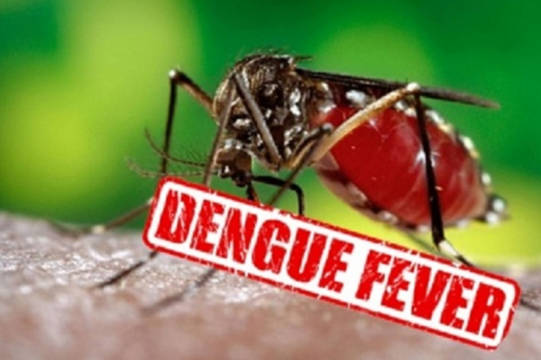 இலங்கையில் விசேட டெங்கு ஒழிப்பு தினங்கள் பிரகடனம் | Sri Lanka Declares Special Dengue Control Days