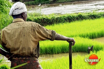 ගොවීන්ටත් රජයෙන් වැටුපක් - මෙන්න විස්තරේ