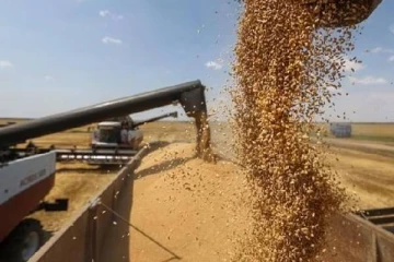 வெப்பமான பிப்ரவரி மாதம்... ஆசிய நாடொன்றில் கோதுமை சாகுபடி சிக்கலில்