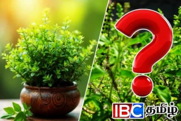 ராஜபக்ச ஆட்சிகாலத்தில் படுகொலை செய்யப்பட்ட கடற்றொழிலாளர்கள்: அமைச்சர் பகிரங்கம்