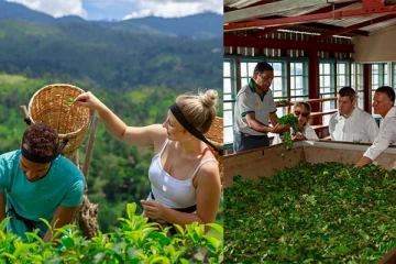 ලොවක් එපා කියන රුසියාව සමග මෙරට තේ පිලිබද ගිවිසුමක් සදහා ඉල්ලිමක්...