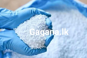 වහාම ක්‍රියාත්මක පරිදි අද සිට යූරියා පොහොර මිල පහල දැමේ