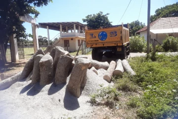 பெறுமதி வாய்ந்த முதிரை குத்திகள் மீட்பு(Video)