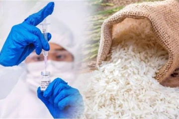 தடுப்பூசியை கொடுத்து அரிசி பெற திட்டம்