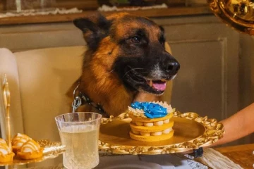 உலகின் பணக்கார செல்லப்பிராணி: அதன் சொத்து மதிப்பு எவ்வளவு தெரியுமா?