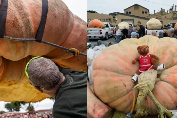 அடேங்கப்பா.. 1247 கிலோ எடையில் உலகின் மிகப்பெரிய பூசணிக்காய் - வாய்ப்பிளக்கவைத்த விவசாயி!