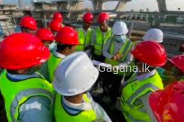 මෙරට අත්හැර යන ඉංජිනේරුවන් පිරිස තුන් ගුණයකින් ඉහලට...