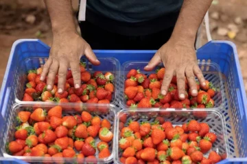 பிரித்தானியாவில் வேலை செய்யும் ஆசையுடன் வந்த வெளிநாட்டவர்: கிடைத்த ஏமாற்றம்!