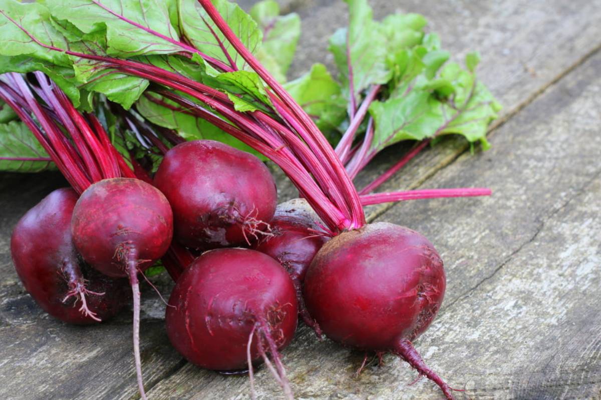 50 வயதிற்கு மேல் அவசியம் சாப்பிடவேண்டிய 5 உணவுகள்.., என்னென்ன தெரியுமா? | 5 Foods Should Eat After 50 In Tamil