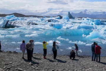 பூச்சிகளே இல்லாத நாடு; ஐஸ்லாந்தின் பெருமையை உடைத்த கொசுக்கள்!
