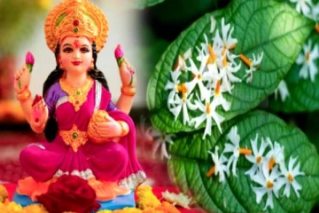 லட்சுமியை வீட்டிற்குள் குடியேற்றும் பாரிஜாதம் மரம்- எந்தப் பக்கத்தில் வைக்கணும் தெரியுமா?