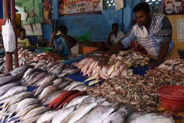 எகிறப்போகும் மீன் விலை; தொடங்கிய மீன்பிடி தடைக்காலம் - எவ்வளவு நாட்கள் தெரியுமா?
