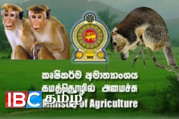 விவசாய அமைச்சிலிருந்து வெளியான அறிவிப்பு