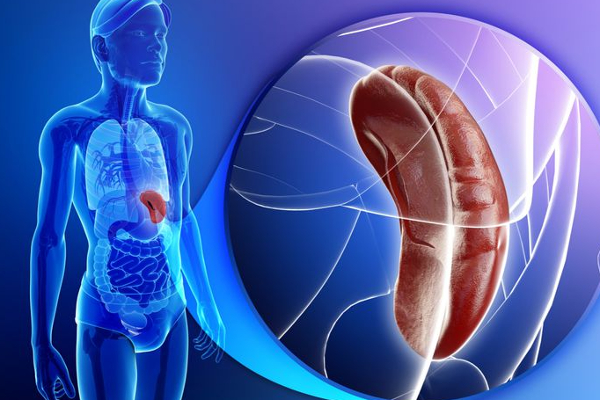 கொய்யப்பழ வைத்தியம்... இது மட்டும் தெரிந்தால் கொய்யாவை விடமாட்டிங்க! | Benefits Of Guava