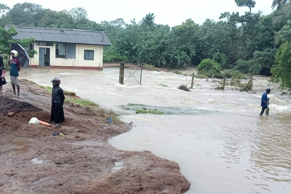 வவுனியாவில் உடைப்பெடுத்துள்ள 91 குளங்கள் ; ஆபத்தில் 39 குளங்கள் | 91 Ponds Have Been Breached In Vavuniya